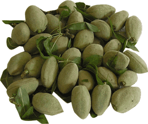 Green Almonds