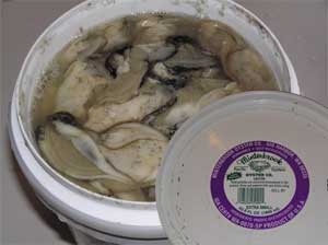 Oysters in the Bucket