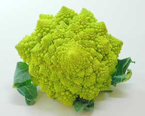 Romanesco