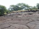 Hawaiian Petroglyphs 11