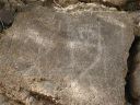 Hawaiian Petroglyphs 22