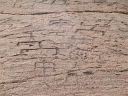 Hawaiian Petroglyphs 9