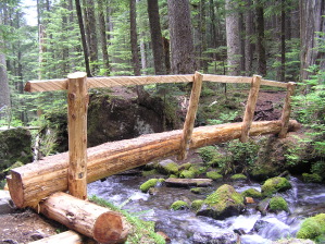 Lake Angeles Trail Bridge