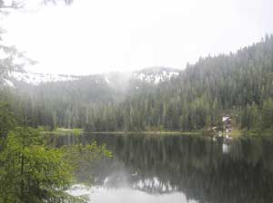 Mist at Deer Lake