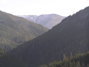 Elwha Valley