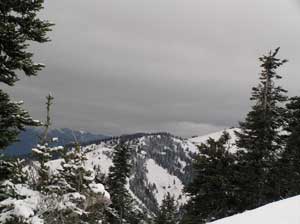 Hurricane Ridge View 2