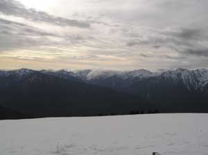 Hurricane Ridge View 3