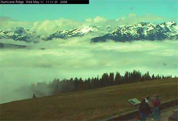 Hurricane Ridge Web Camera