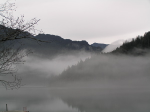 Mist at Lake Crescent