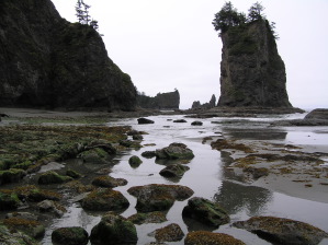 Seastacks at Second Beach