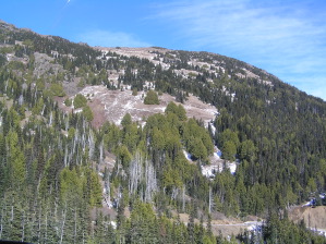 No Snow on the Switchback Trail