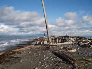 Dungeness Spit - Winter High Tide