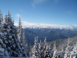 View From The Snowshoeing Trail - Hurricane Hill