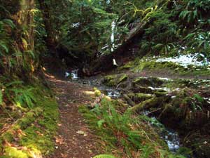 Elwha Trail