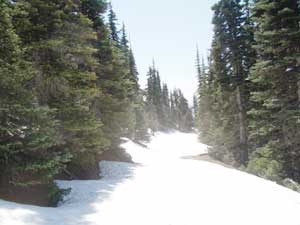 Hurricane Hill June Snow