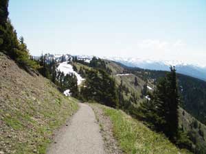 Hurricane Hill Trail