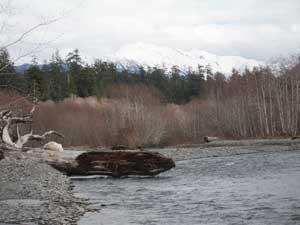 Hoh River from Five Mile Island