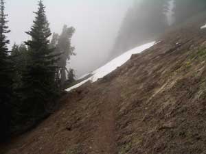 Snow on the Klahane Ridge Trail
