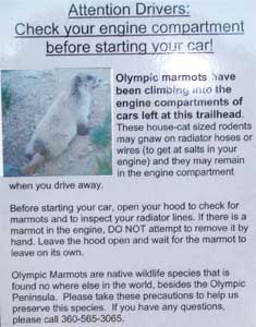 Marmot Alert Notice