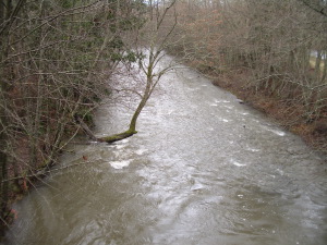 Morse Creek with lots of water in it