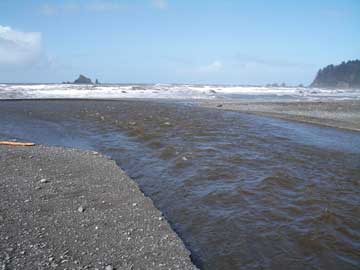 The river at Rialto Beach