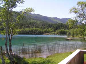 Our View of Lake Crescent