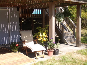 A shady hideaway under the deck