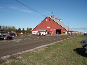 The big red barn