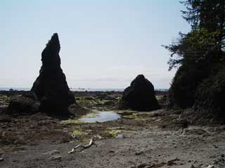 More beach at Cape Alava