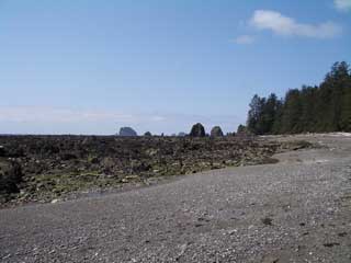 Even more beach at Cape Alava