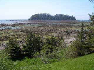 Low tide at Cape Alava