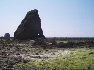 Seastacks at Cape Alava