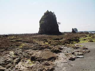 Seastacks at Cape Alava