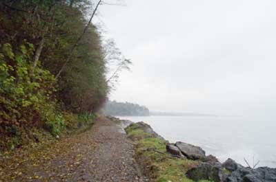 View from Morse Creek Trail