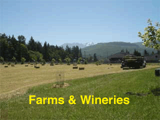 Agritourism on the North Olympic Peninsula