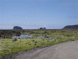 The beach at Cape Alava