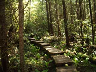 Steps along the trail