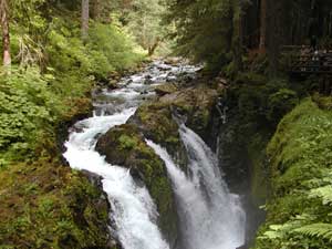 Sol Duc Falls