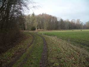 The Dungeness Dike Trail