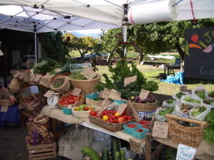 The bounty of the harvest at the Johnston Farm