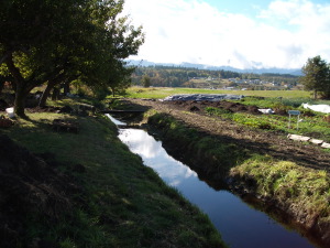 The Irrigation Stream