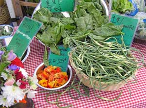 Edible Flowers and Garlic Scapes