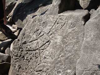 Petroglyphs at Cape Alava