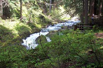 Sol Duc Rapids